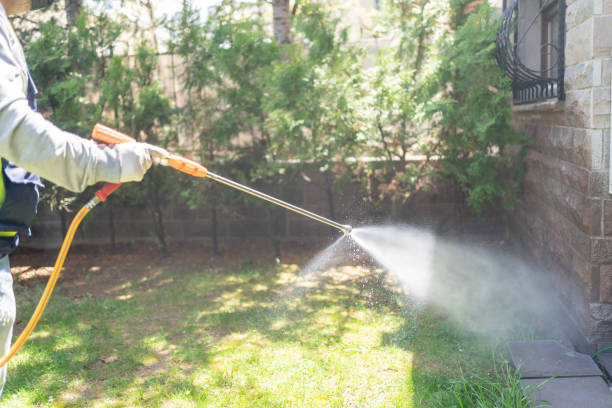 Best Wasp Removal Services  in Fayette, MO